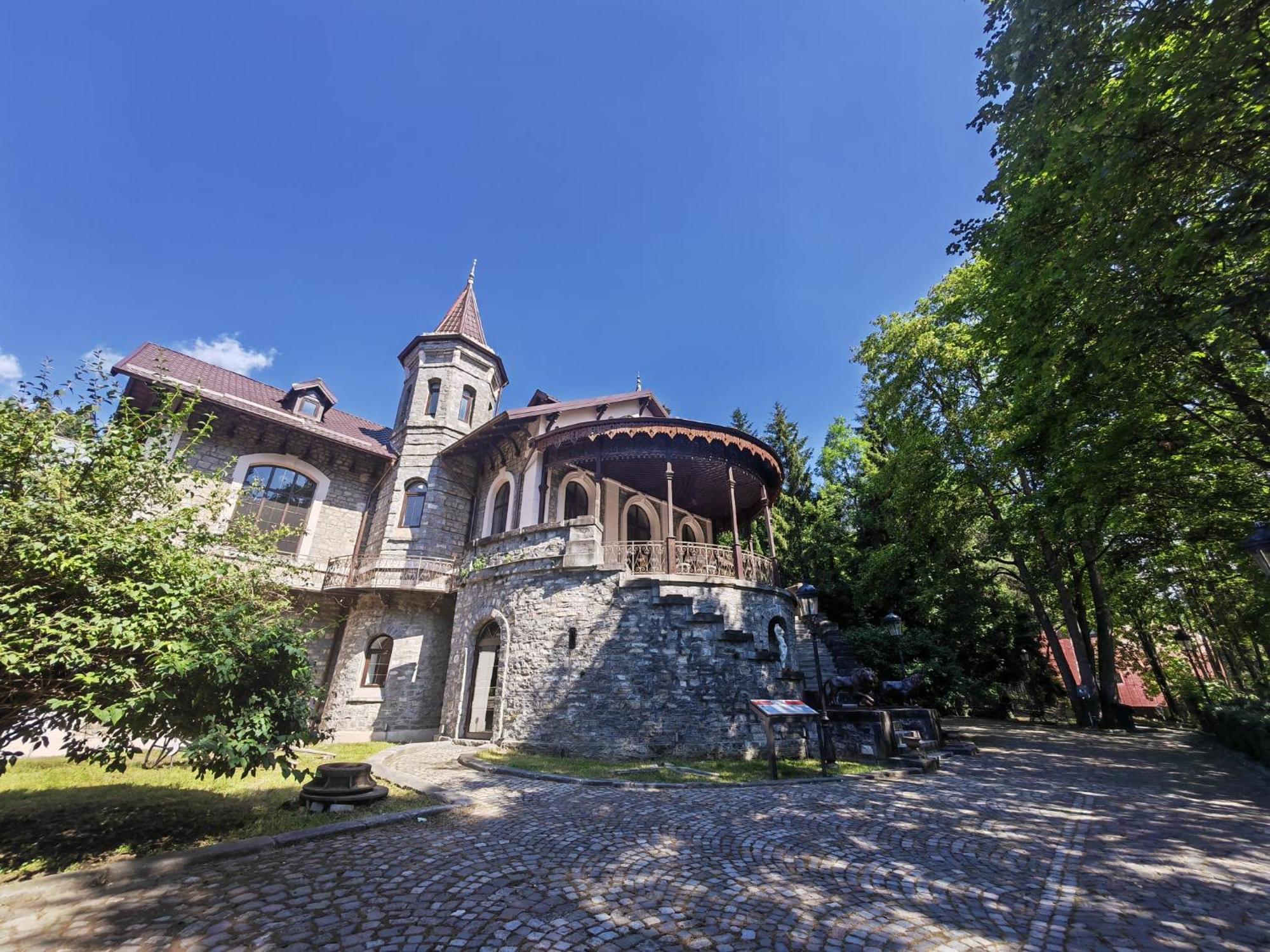 Hotel Castelul Stirbey Sinaia Exterior foto