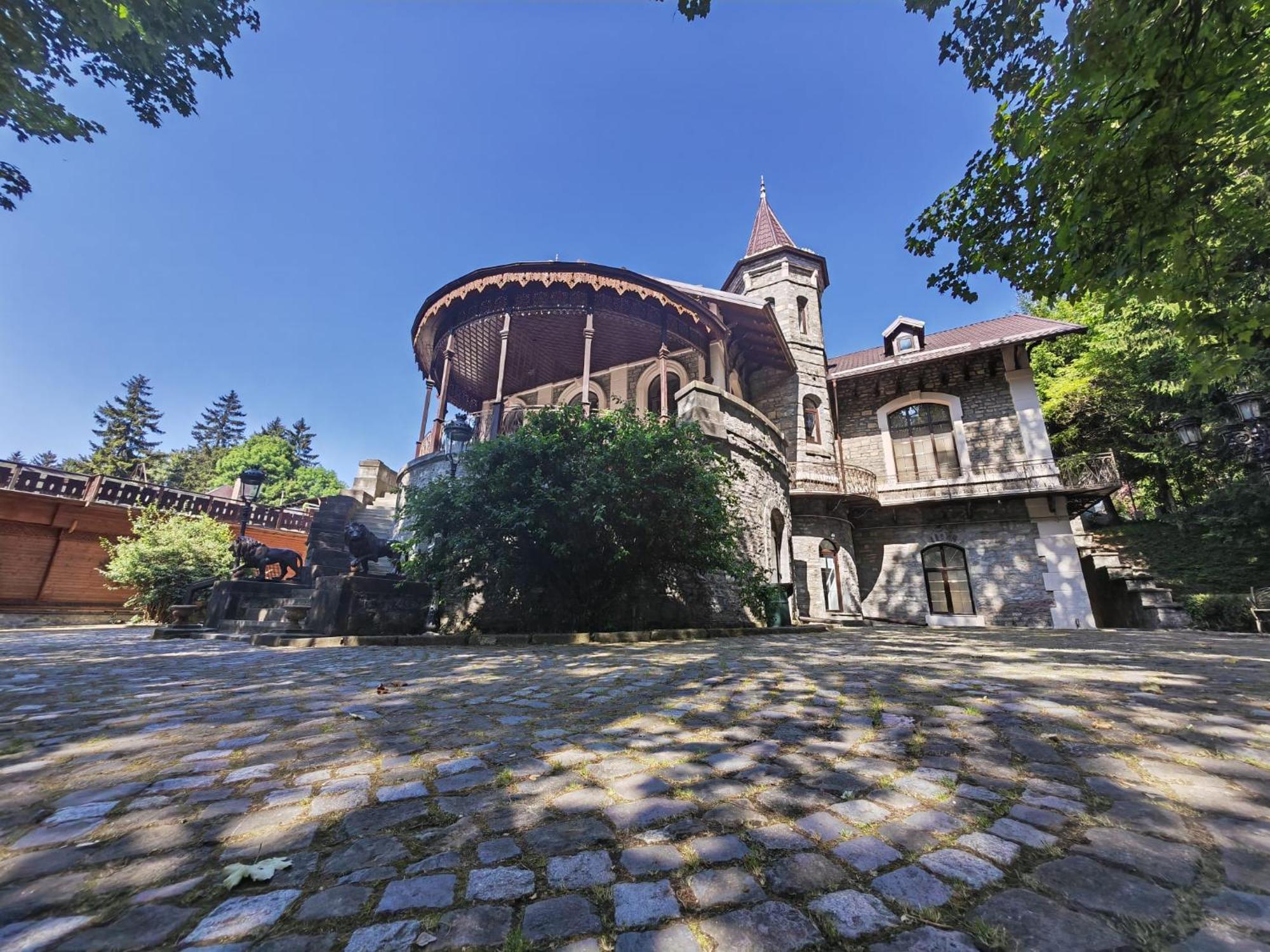 Hotel Castelul Stirbey Sinaia Exterior foto