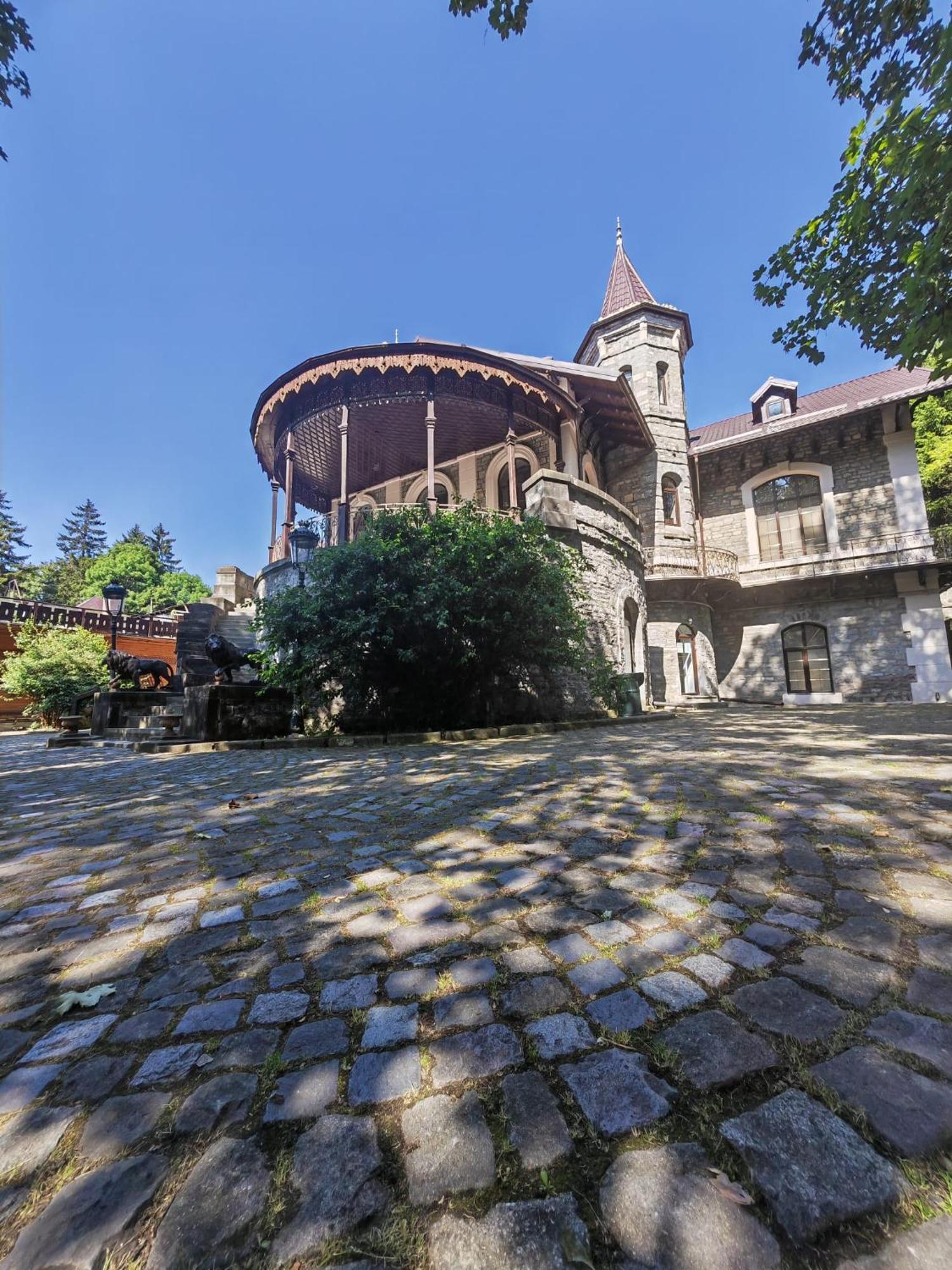 Hotel Castelul Stirbey Sinaia Exterior foto